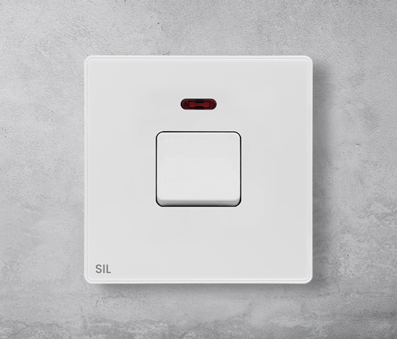 20A DP Switch Ecomax